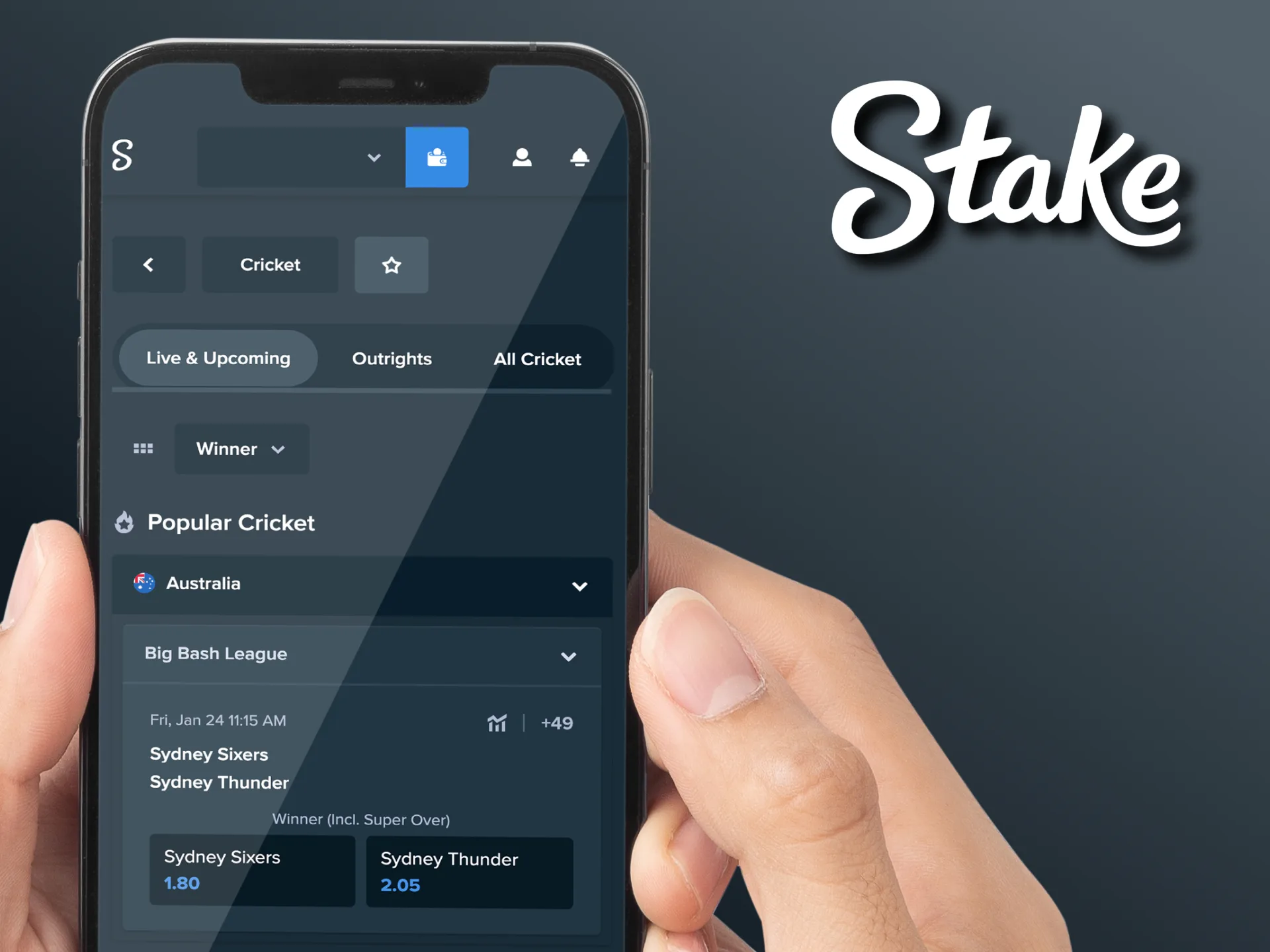 Stake IPL 2025 betting tips: research, analyze, stay updated, set budget.